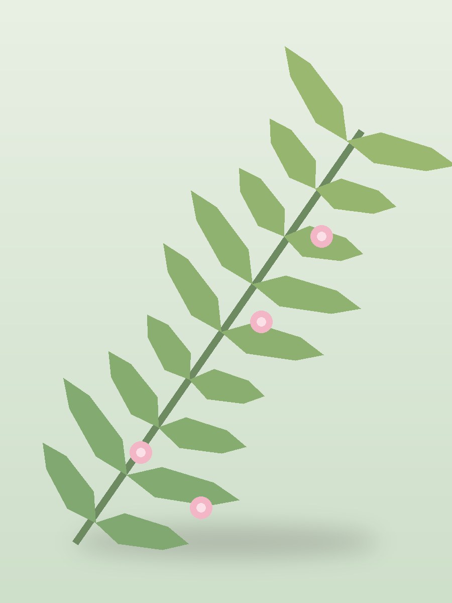 植物墙设计：茉莉叶枝插画