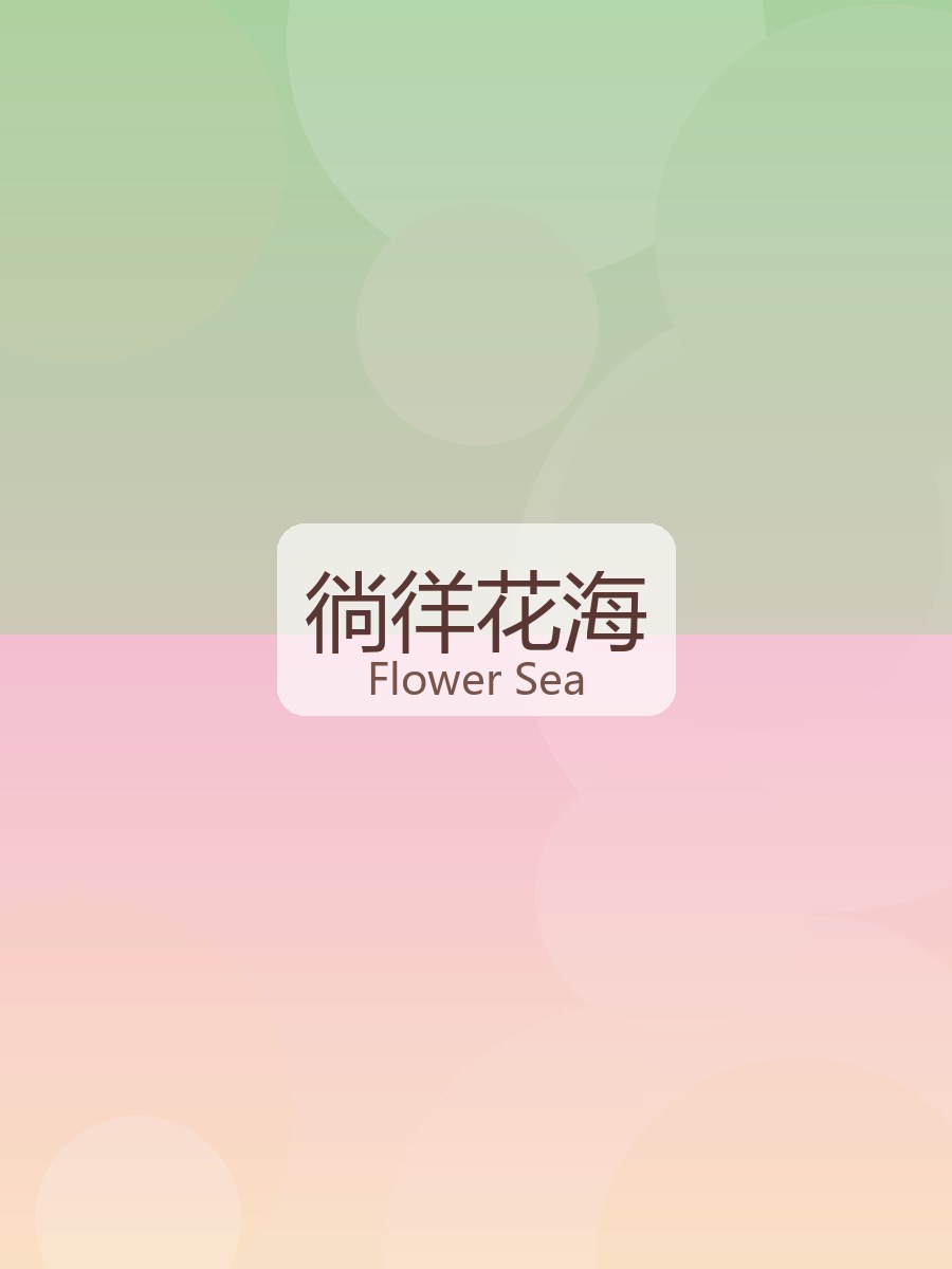 小屋花景：开满鲜花的花店橱窗